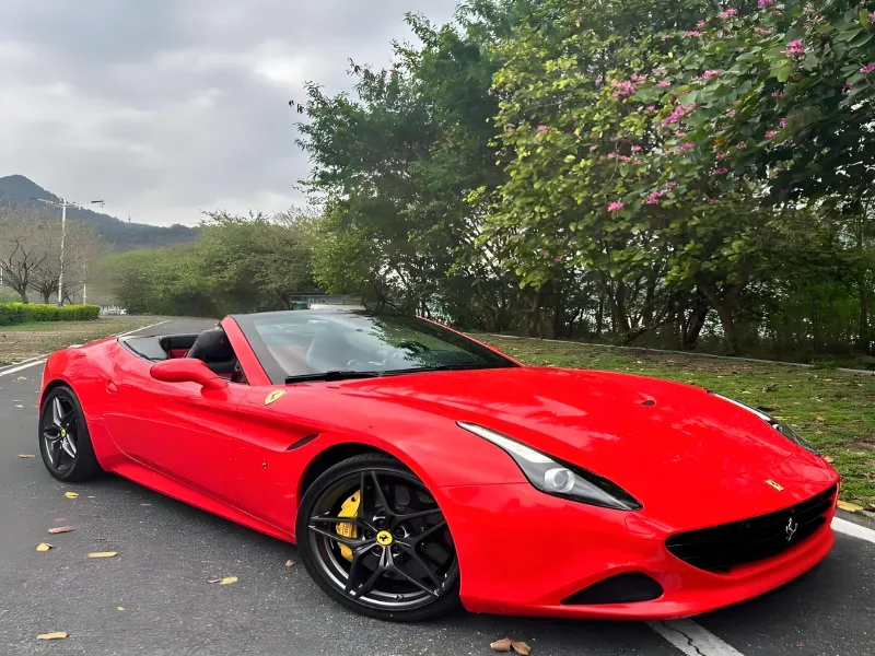 Ferrari Red